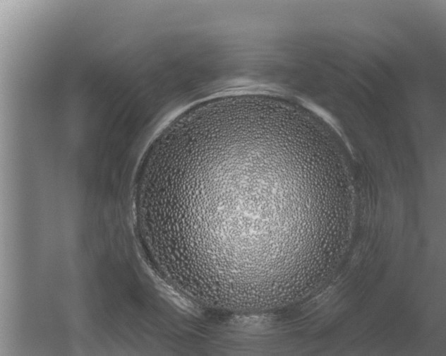 X0000060581415200511071033