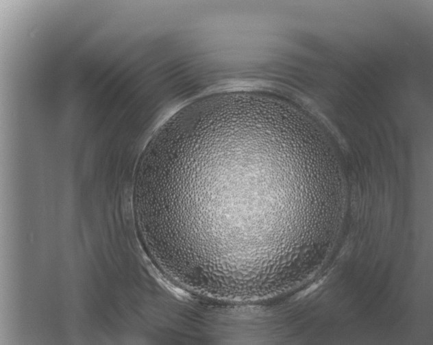 X0000060581417200511071033