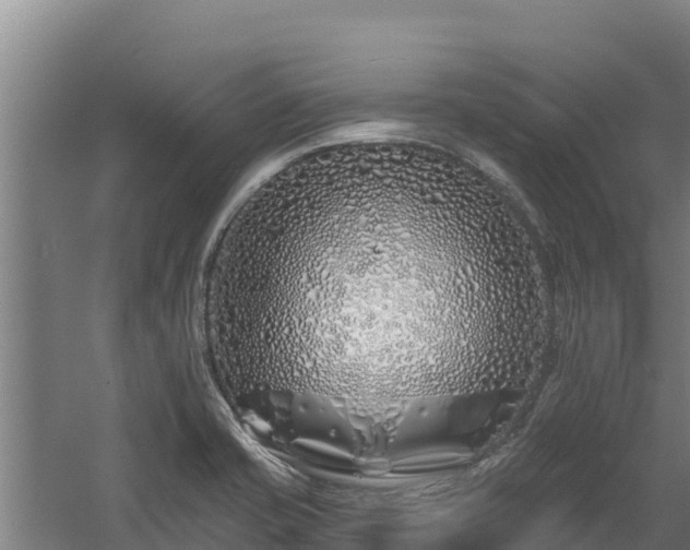 X0000060581421200511071033