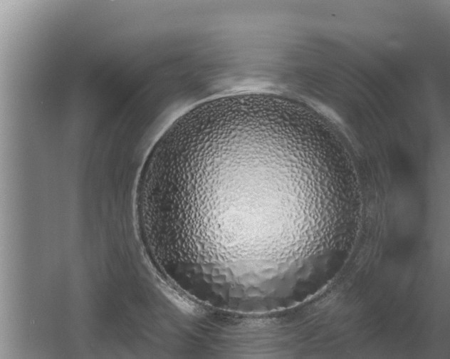 X0000060581423200511071033