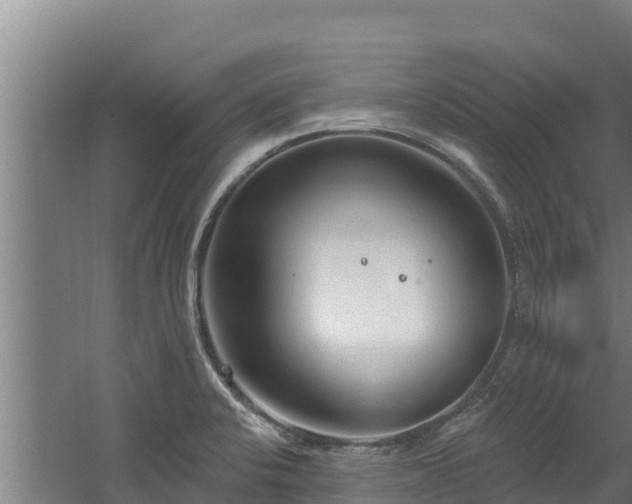 X0000060581424200511071033