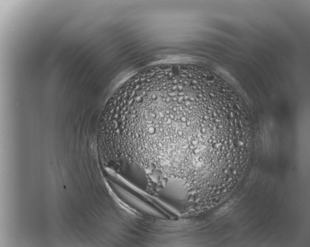 X0000060581425200511071033