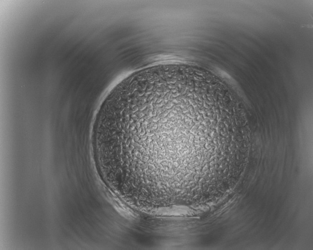 X0000060581427200511071033