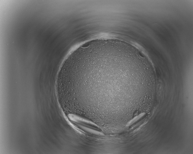 X0000060581429200511071034