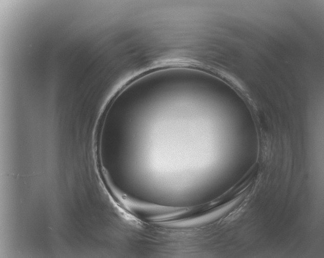 X0000060581430200511071034