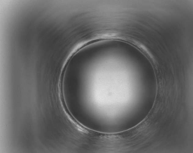 X0000060581432200511071034