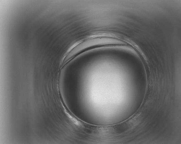 X0000060581433200511071034