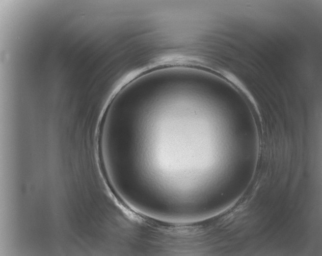 X0000060581437200511071034