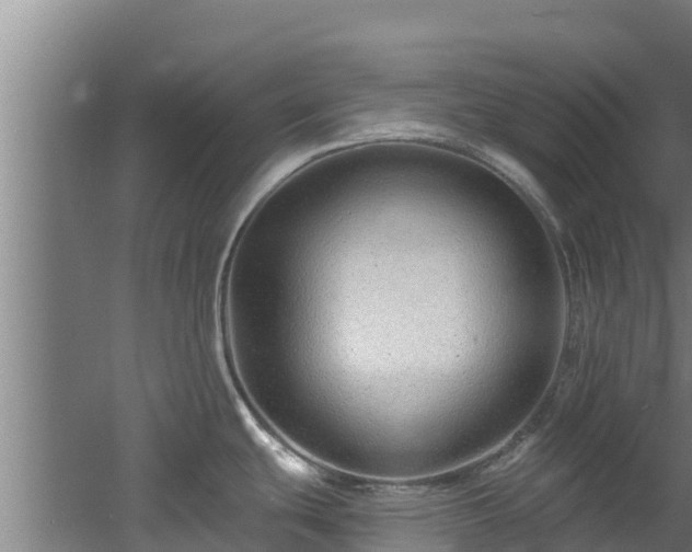 X0000060581439200511071034