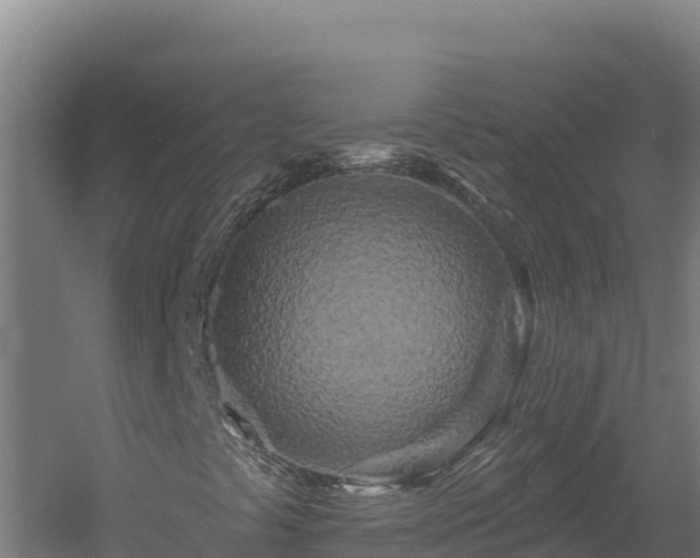 X0000060581441200511071033