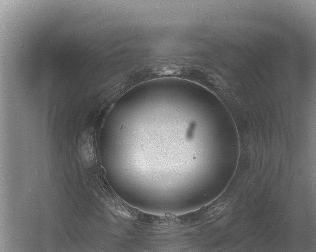 X0000060581442200511071033