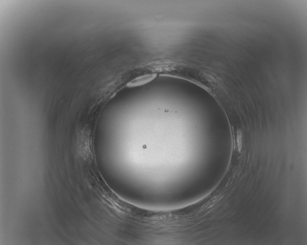 X0000060581444200511071033