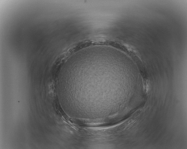 X0000060581445200511071033