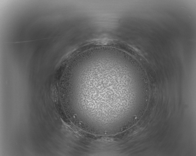 X0000060581446200511071033