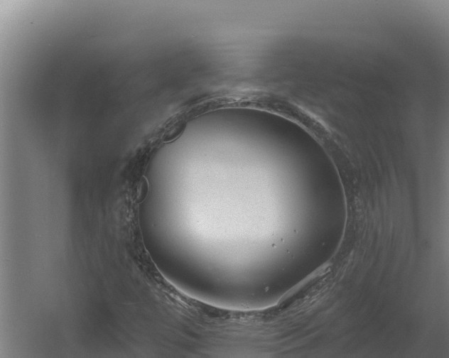 X0000060581447200511071033