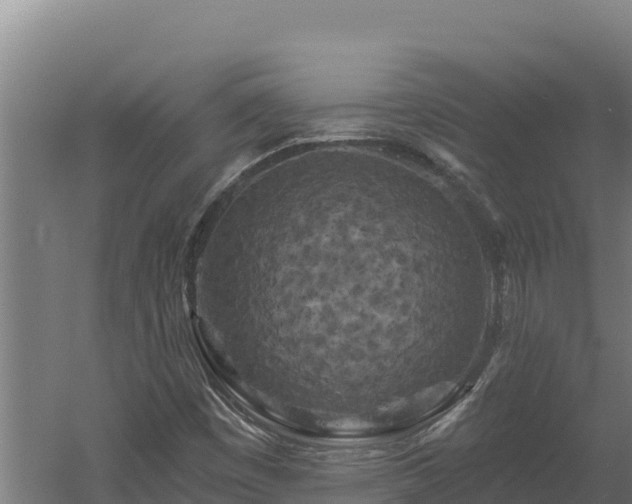 X0000060581449200511071033