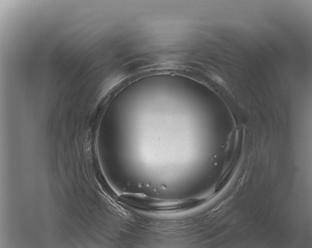 X0000060581450200511071033