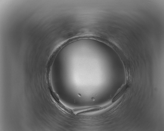 X0000060581452200511071033