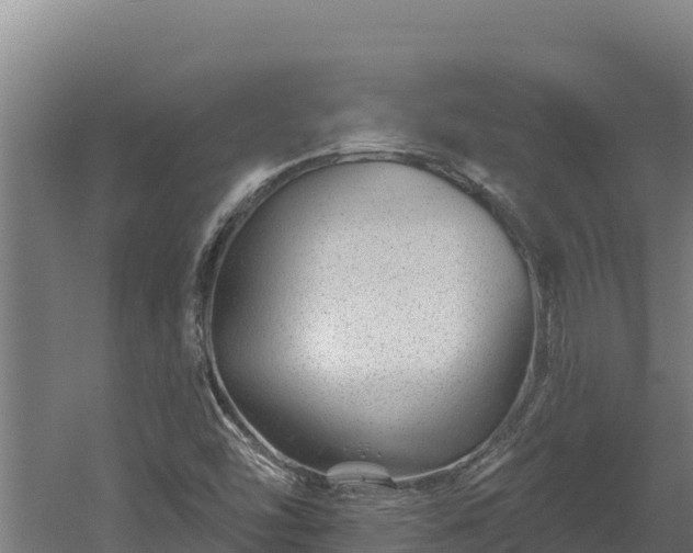 X0000060581454200511071033