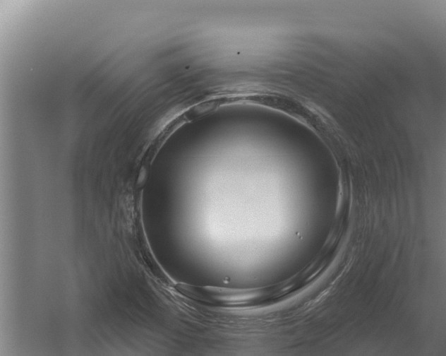 X0000060581457200511071033