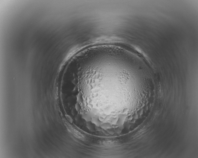 X0000060581459200511071033