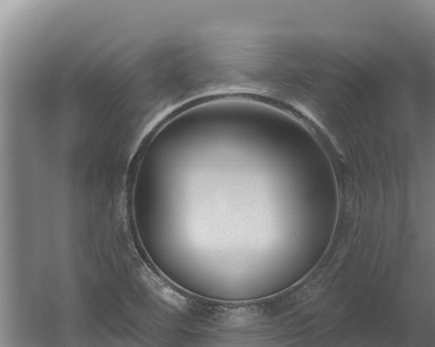 X0000060581460200511071033