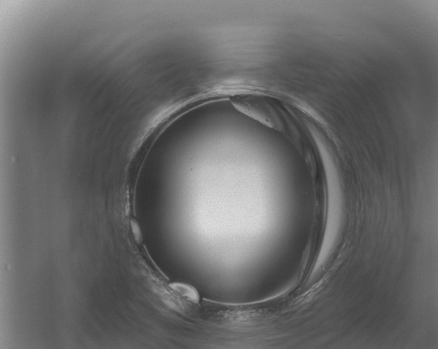 X0000060581461200511071033