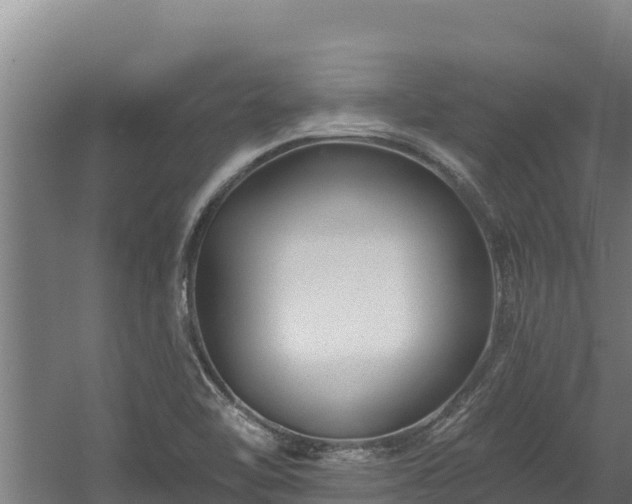 X0000060581462200511071033