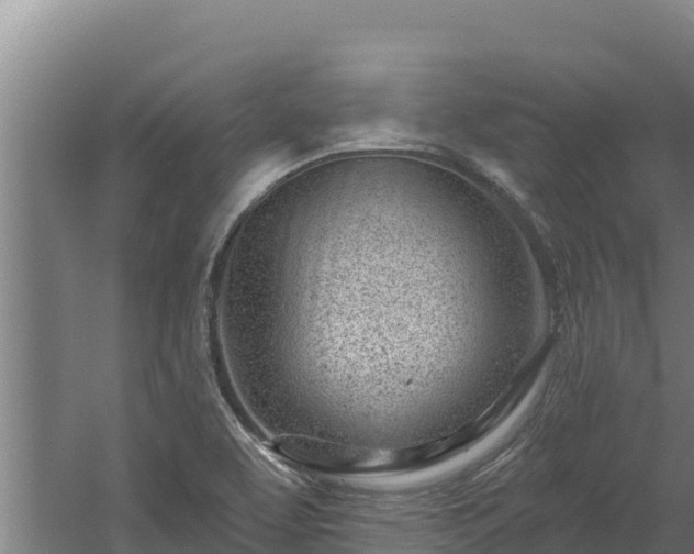 X0000060581463200511071033