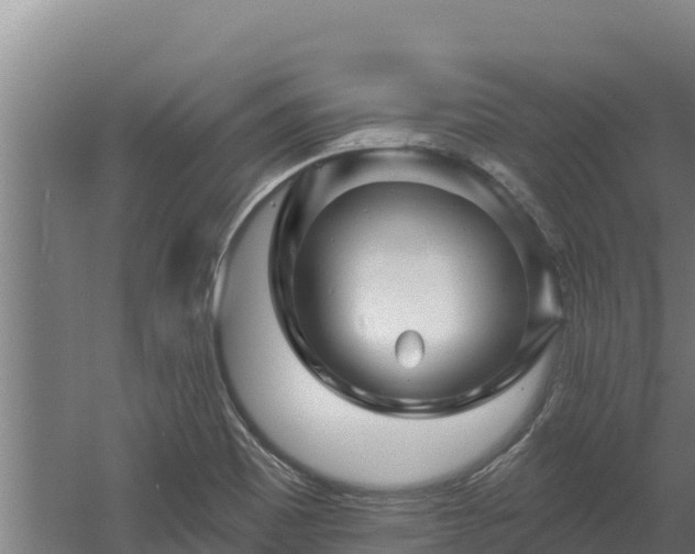 X0000060581465200511071032