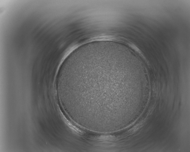 X0000060581466200511071032