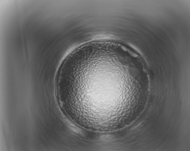 X0000060581467200511071032