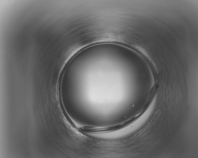 X0000060581468200511071032