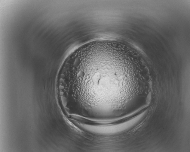 X0000060581471200511071032