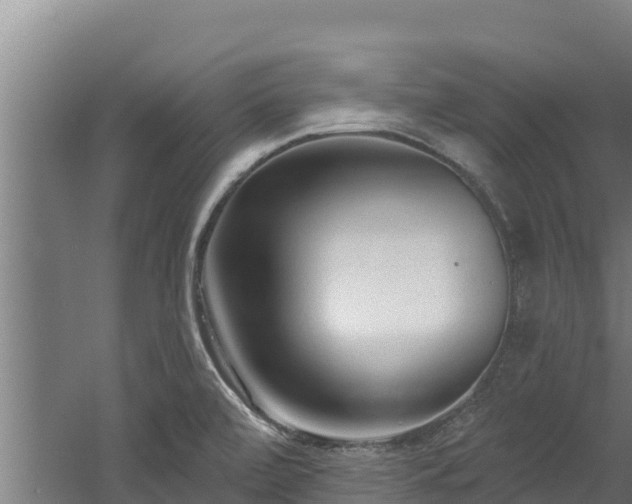 X0000060581472200511071032