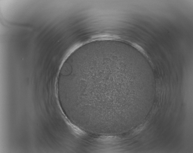 X0000060581474200511071032