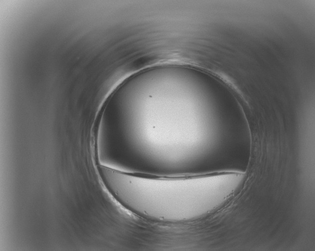 X0000060581476200511071032