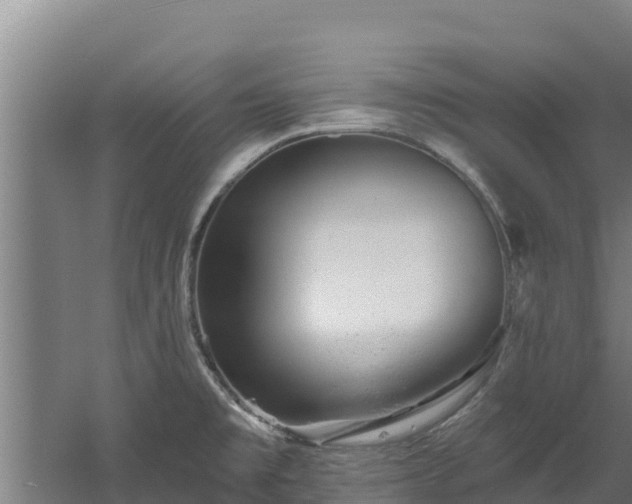 X0000060581477200511071032