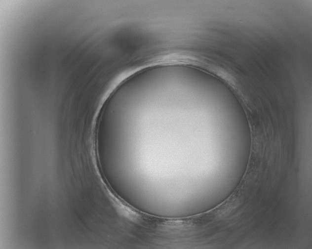 X0000060581478200511071032