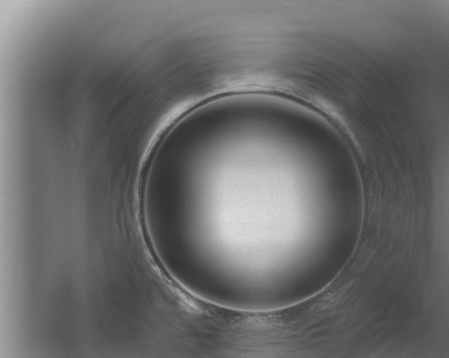 X0000060581480200511071032