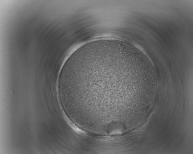 X0000060581482200511071032