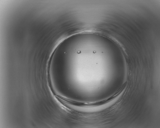 X0000060581483200511071032