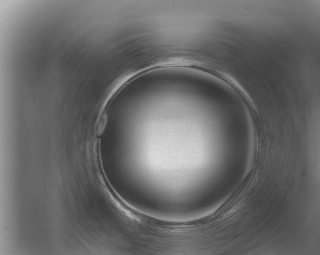 X0000060581484200511071032