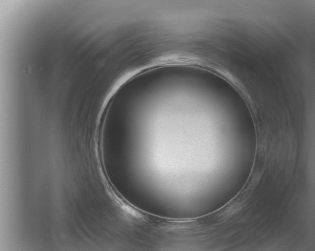 X0000060581486200511071032