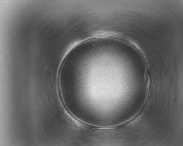 X0000060581487200511071032