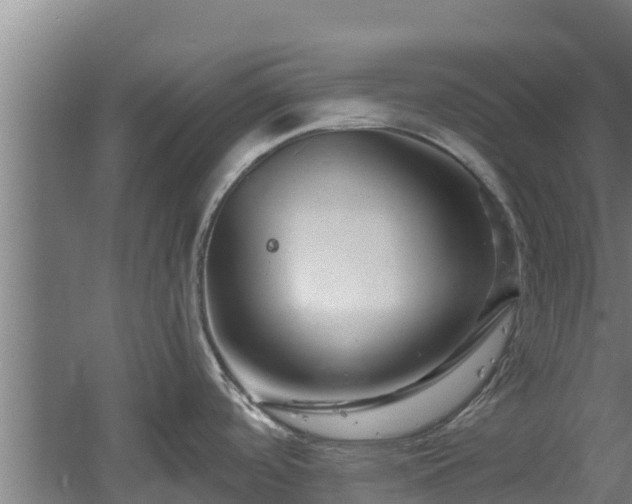 X0000060581488200511071032