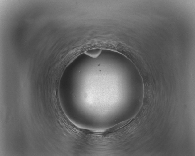 X0000060581489200511071031