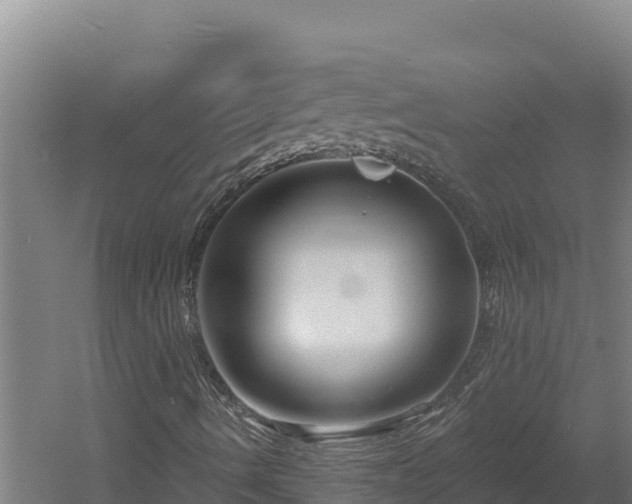 X0000060581490200511071031