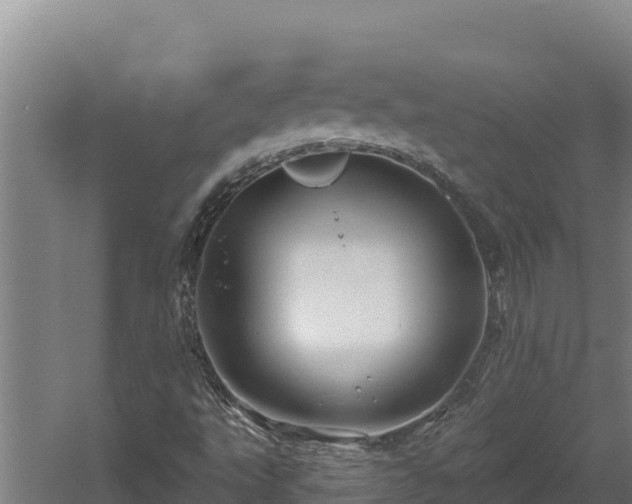 X0000060581495200511071031