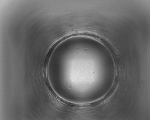 X0000060581497200511071031